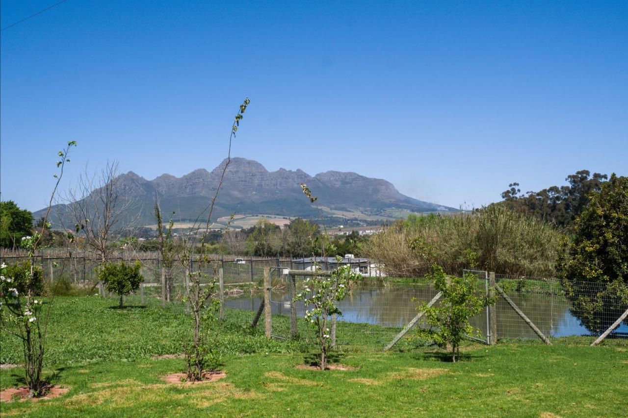 Sunset Farm Stellenbosch Villa Exteriör bild